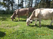 22 settembre 2018 - SASSO GORDONA, SUI SENTIERI DELLA GRANDE GUERRA - FOTOGALLERY